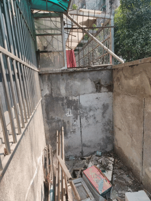 1733195255431694.gif 微信圖片_20241203110401.gif